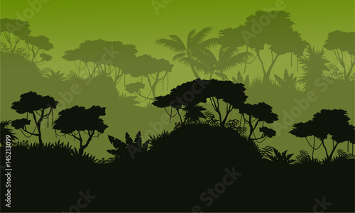 Silhouette of rain forest scenery
