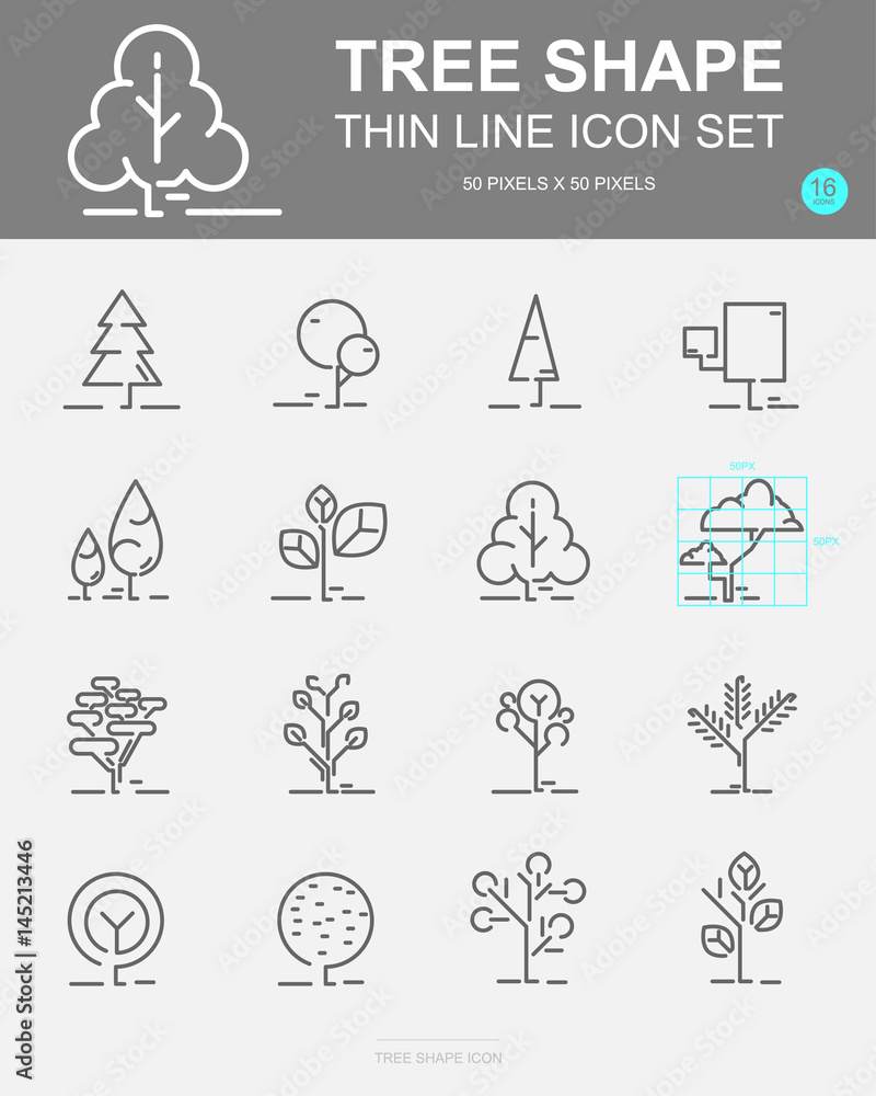 Set of Tree shape Vector Line Icons. Includes leaf, forest, trees, botany and more. 50 x 50 Pixel. Set of Tree shape Vector Line Icons. Includes leaf, forest, trees, botany and more. 50 x 50 Pixel.