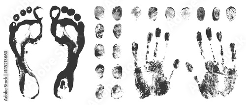 Set of Black Fingerprints on White Background