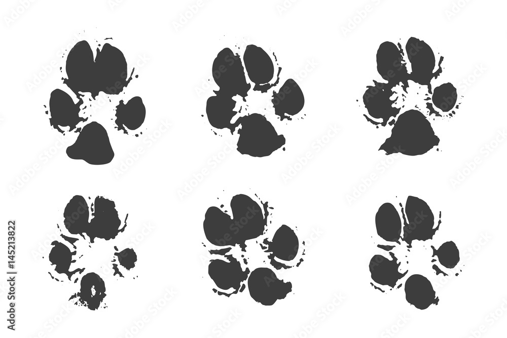 Fototapeta premium Set of Black Traces of Animals