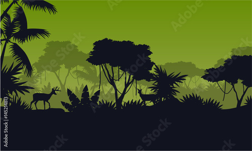 Collection of forest scene with deer silhouette