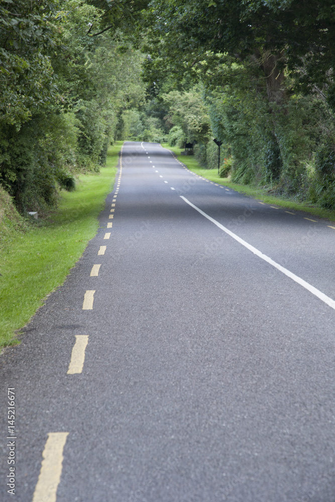 Rural Road, Killarney