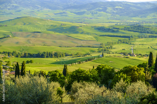 Countryside landscape around Pienza Tuscany