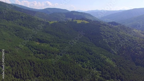 A Karpathian Evergreen Mountain In Ukraine photo