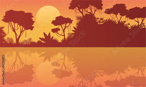 Collection background beauty scenery jungle
