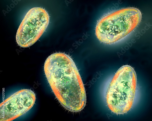 3D illustration of transparent and colorful protozoa or unicellular organism photo