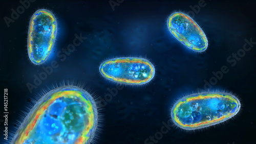 3D illustration of transparent and colorful protozoa or unicellular organism photo