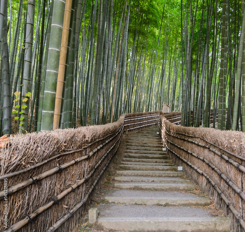 Fototapeta Naklejka Na Ścianę i Meble -  Bamboo forest in Arashiyama, Kyoto, Japan