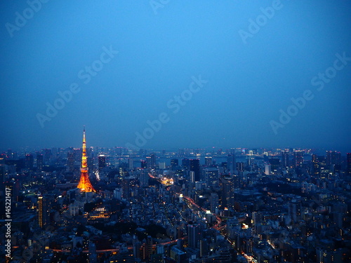 Canvas Print night view of Tokyo