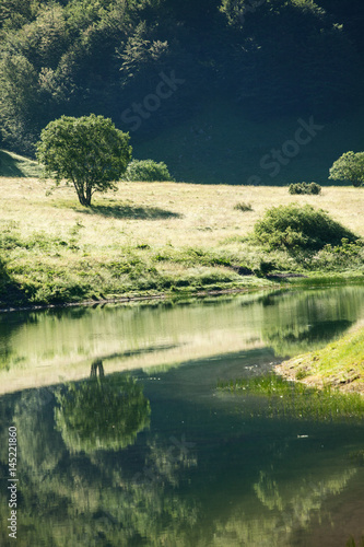 High mountain landscape - oak tree close to lake  high hills reflecting in water  no people  