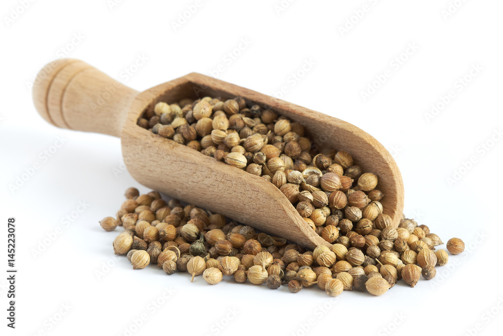 Dried coriander seeds with wooden scoop isolated on white background Dried coriander seeds with wooden scoop isolated on white background