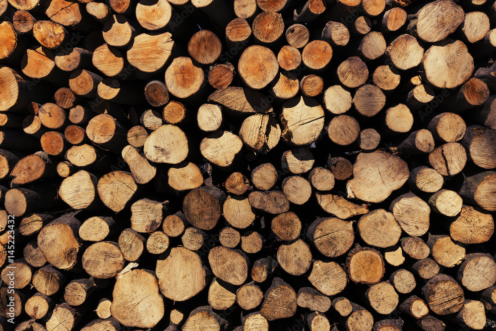 logs logs