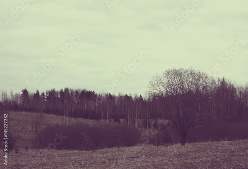 Autumn landscape in the countryside.