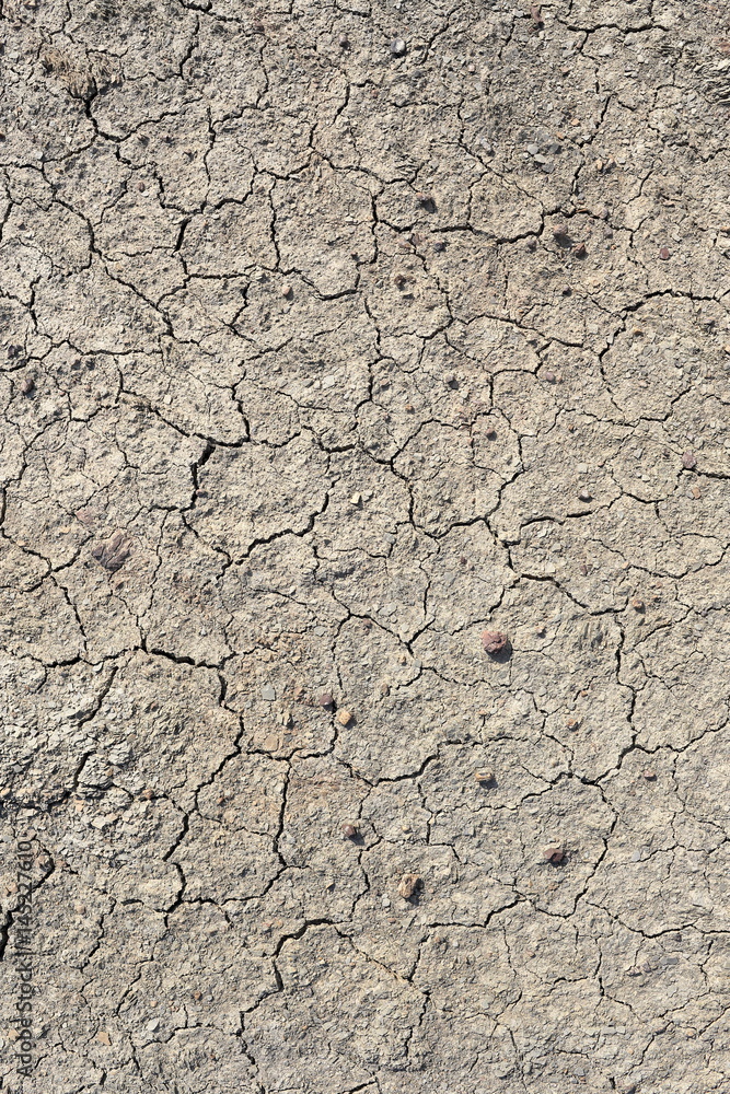 dried soil closeup texture dried soil closeup texture