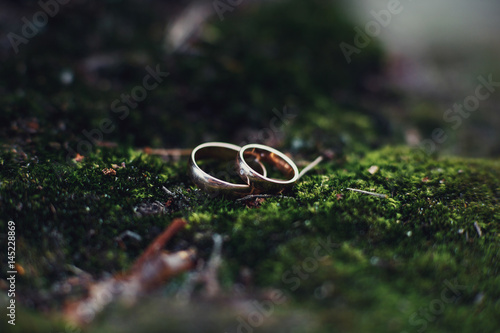 Golden wedding rings lie on the green moss