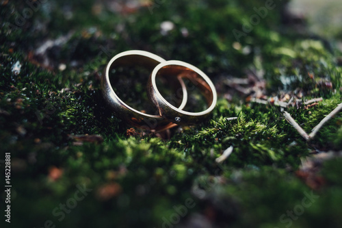 Golden wedding rings lie on the green moss