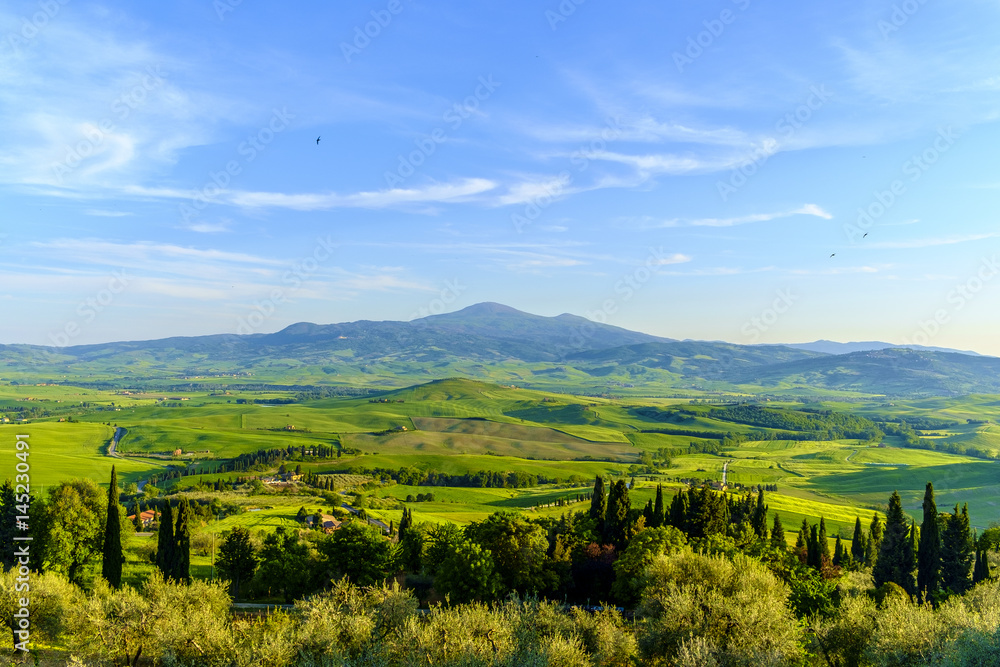 Obraz premium Countryside landscape around Pienza Tuscany