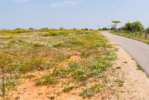 Ariel Sharon park , Israel photo