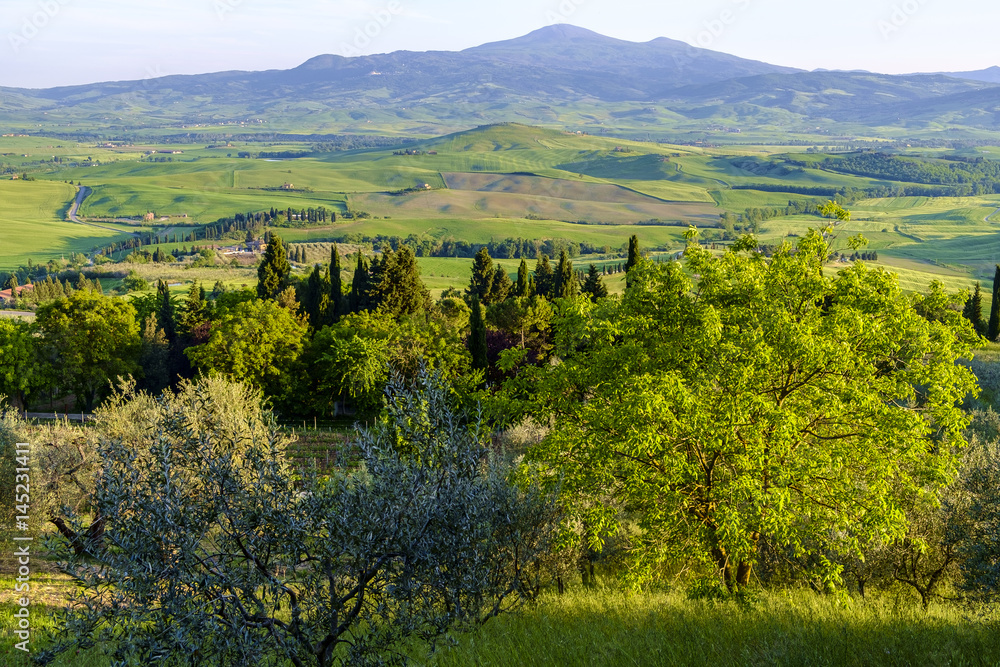 Countryside landscape around Pienza Tuscany