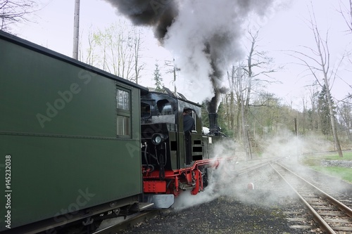 preßnitztalbahn photo