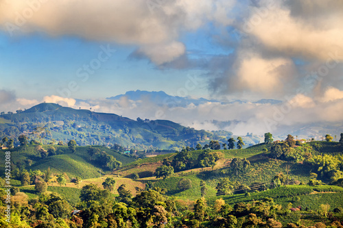 View of a Coffee plantation near Manizales in the Coffee Triangle of Colombia with the Nevado del Ruiz in the background. photo