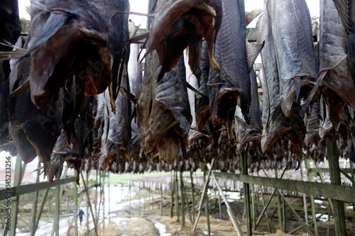 stockfish