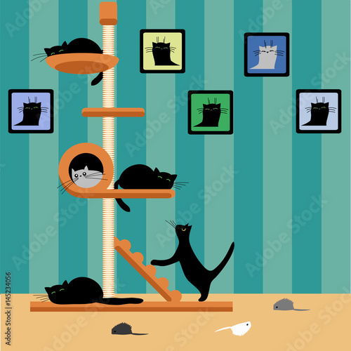 house for cats