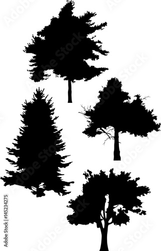 four tree outlines illustration on white
