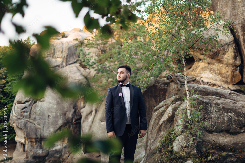 The handsome groom stands on the stones The handsome groom stands on the stones