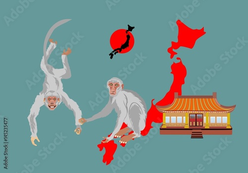 Japan monkeys and other symbols of Japan