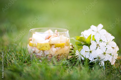 Oatmeal porridge, healthy picnic snack, cherry twig in bloom next to the glass