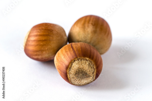 Three hazelnuts isolated on white background