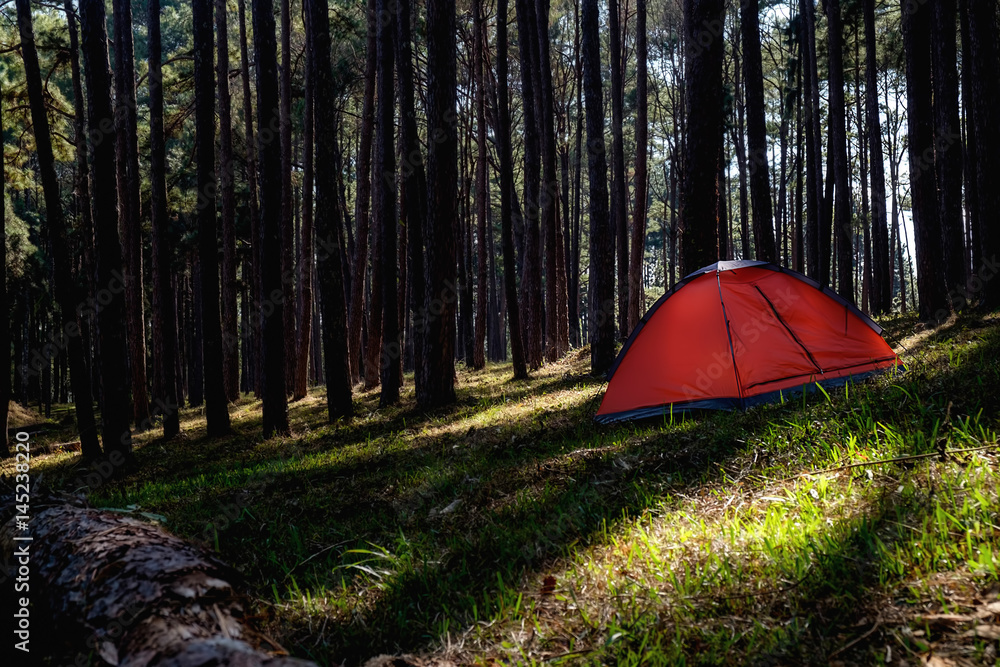 Camping in a forest. Morning scene with tourist tent in green forest near of the lake. Outdoor Lifestyle.selective focus.