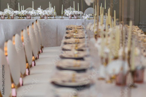Blurred picture of chairs with round backs standing at long dinner table © nastasenko
