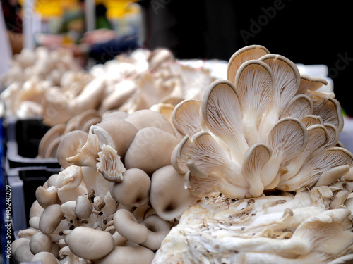 Vegan dishes Oyster mushrooms. Sales at the market.
