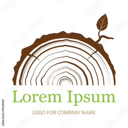 cross section of the trunk with tree rings. Wood sign icon. Tree growth rings. flat icon. Vector illustration. Logo.