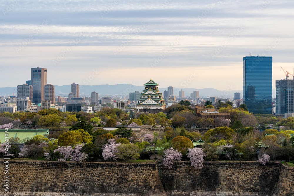 Osaka castle with cherry blossom and Osaka center business dictrick in background atOsaka, Japan. Japan spring beautiful scene.