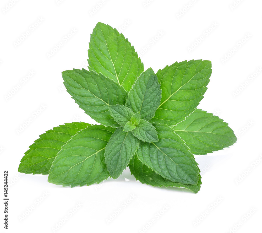 Fresh mint leaves isolated on white Fresh mint leaves isolated on white