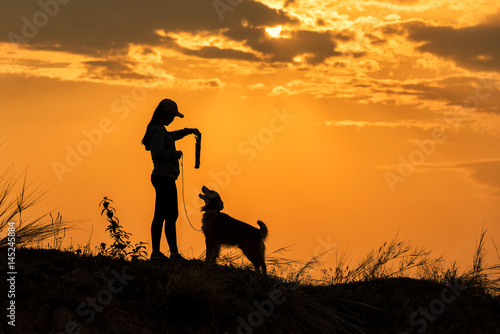a girl is sitting outside in the grass  lovingly shaking hands with her German Shepherd dog  silhouetted against the sunsetting sky.