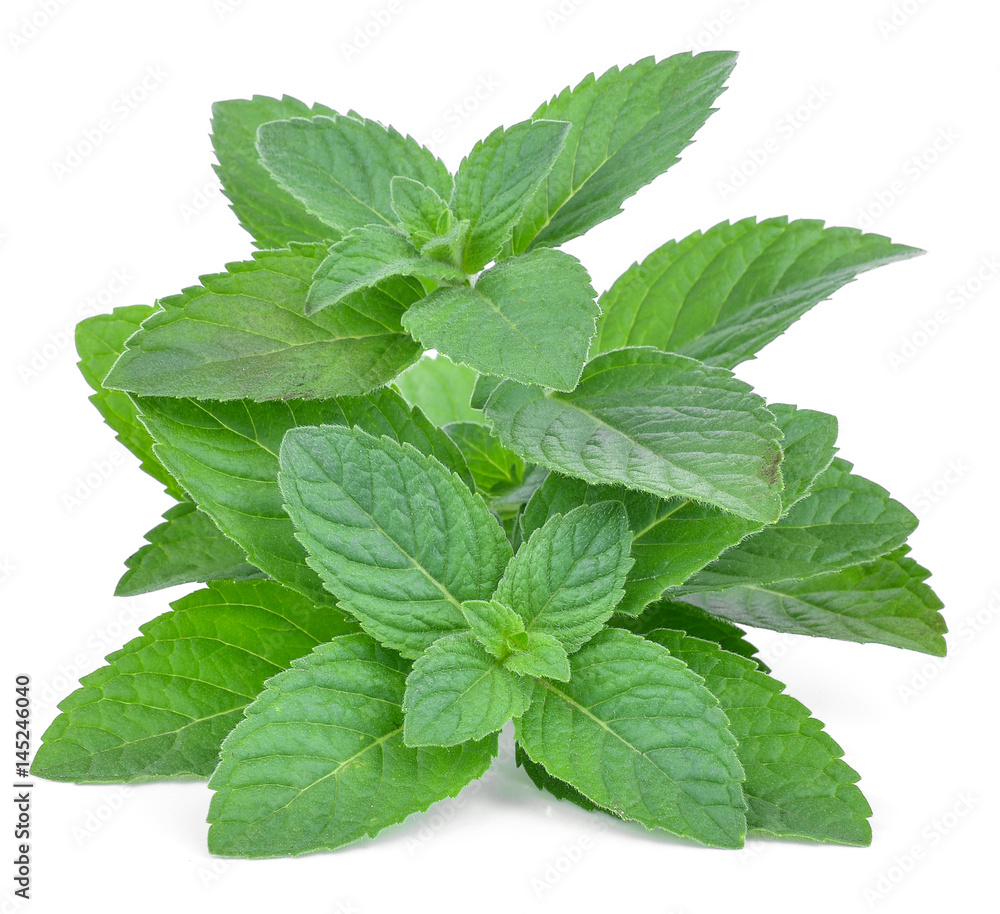 Fresh mint leaves isolated on white Fresh mint leaves isolated on white