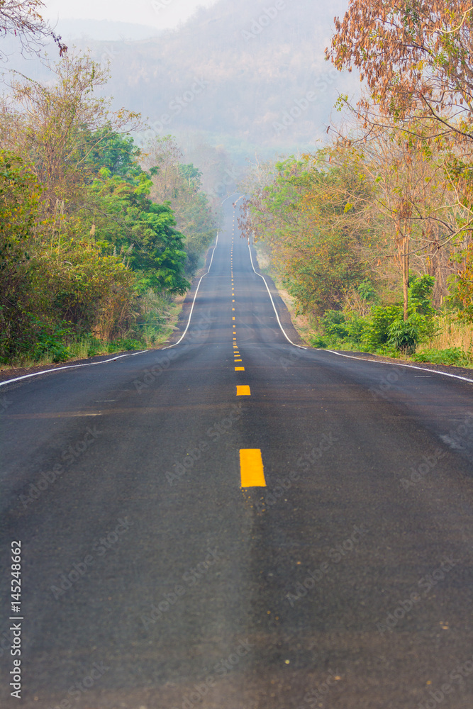 Rural highway through the forest Rural highway through the forest