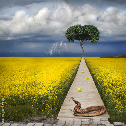 Biblical apple of temptation and snake