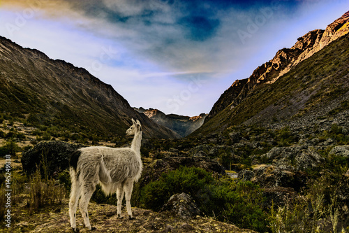 Peruvian Landscape  © Chris