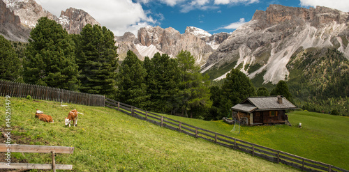 Fototapeta Naklejka Na Ścianę i Meble -  Gardena Valley