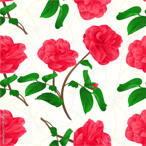 Seamless texture flowers Camellia Japonica stem with bud cracks in the porcelain vintage vector illustration