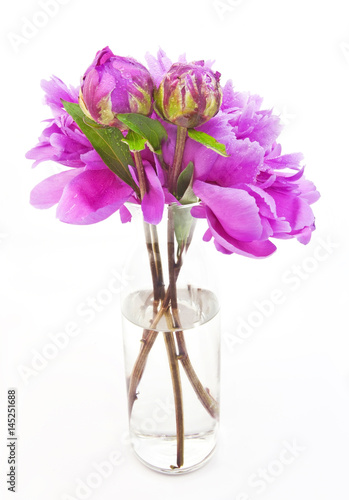 Wallpaper Mural Spring pink peonies in glass vase. Isolated. Torontodigital.ca