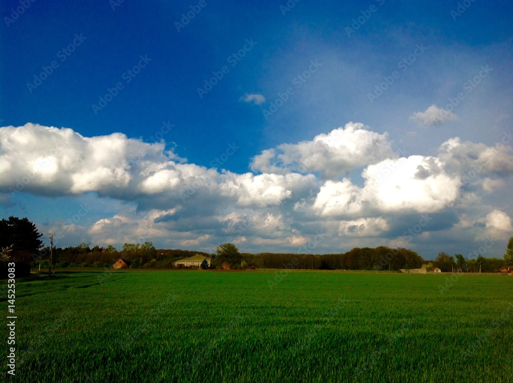 Beautiful landscape green and blue sky background Beautiful landscape green and blue sky background