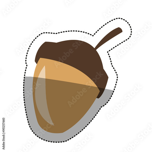Acorn icon. Healthy organic and fresh man theme. Isolated design. Vector illustration