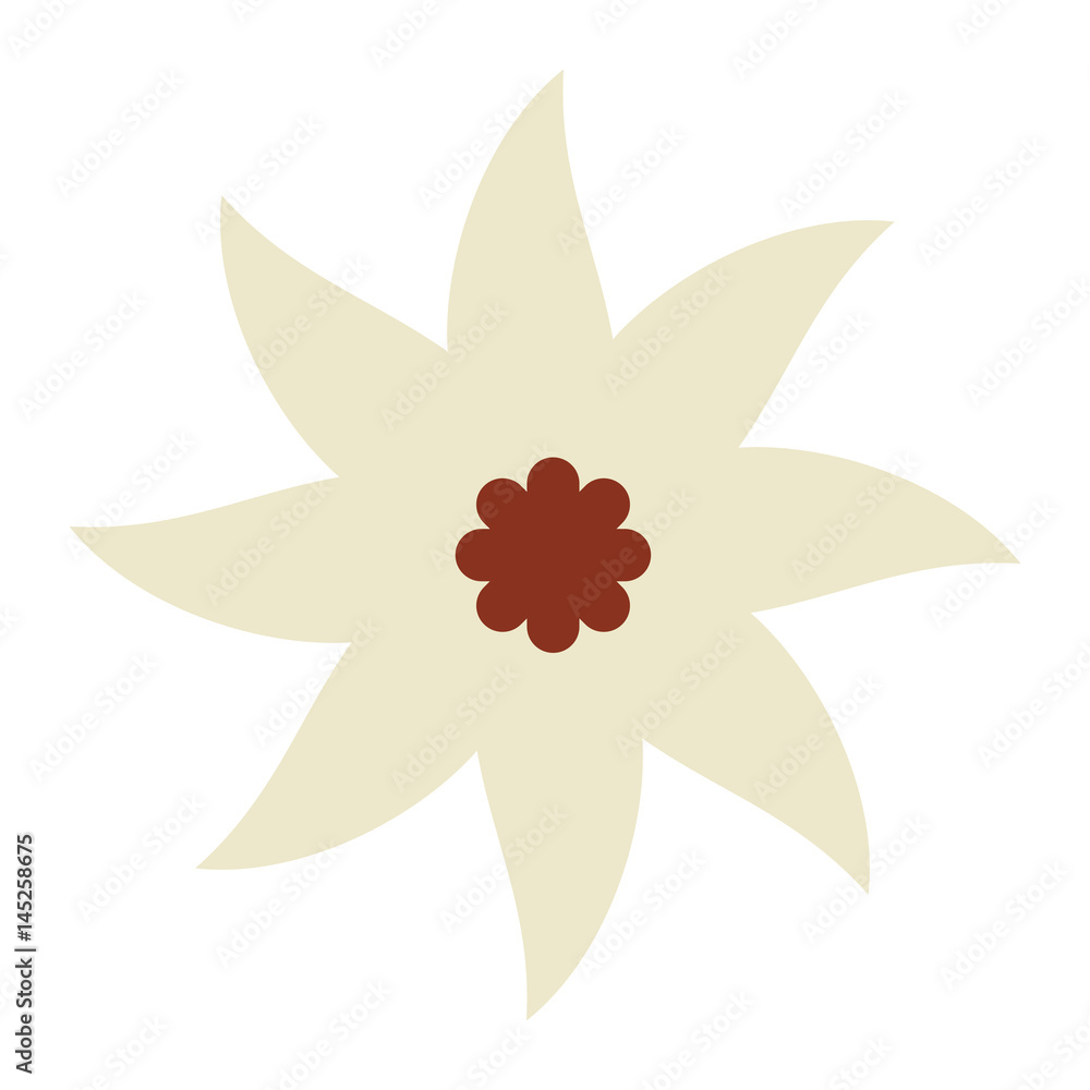 cute flower spa emblem vector illustration design cute flower spa emblem vector illustration design