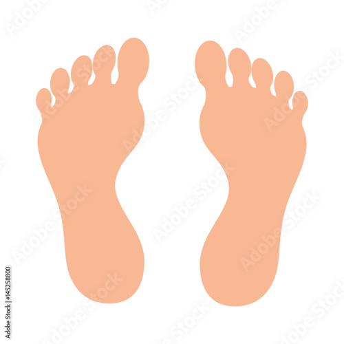 human foot plant icon vector illustration design